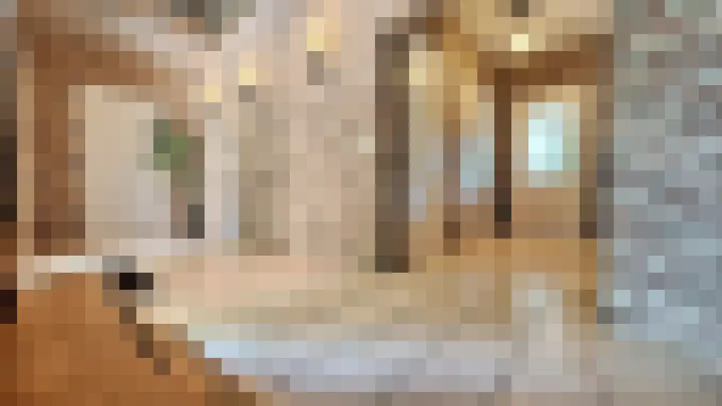 Schiksweg 39 Oosterwolde Gld thumbnail 12