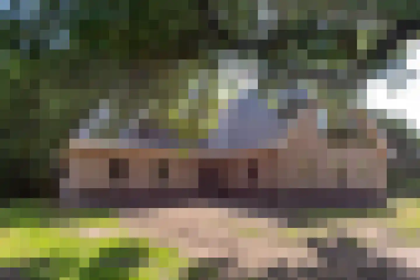 Schiksweg 39 Oosterwolde Gld foto 2
