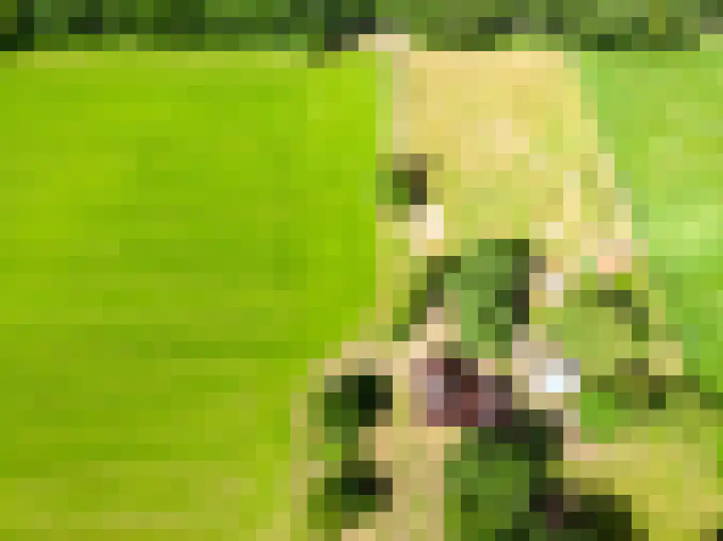 Schiksweg 39 Oosterwolde Gld thumbnail 4