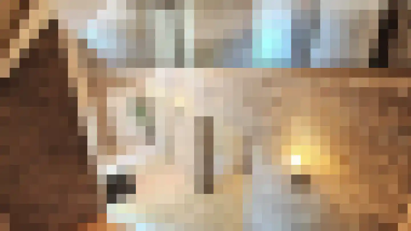 Schiksweg 39 Oosterwolde Gld thumbnail 41