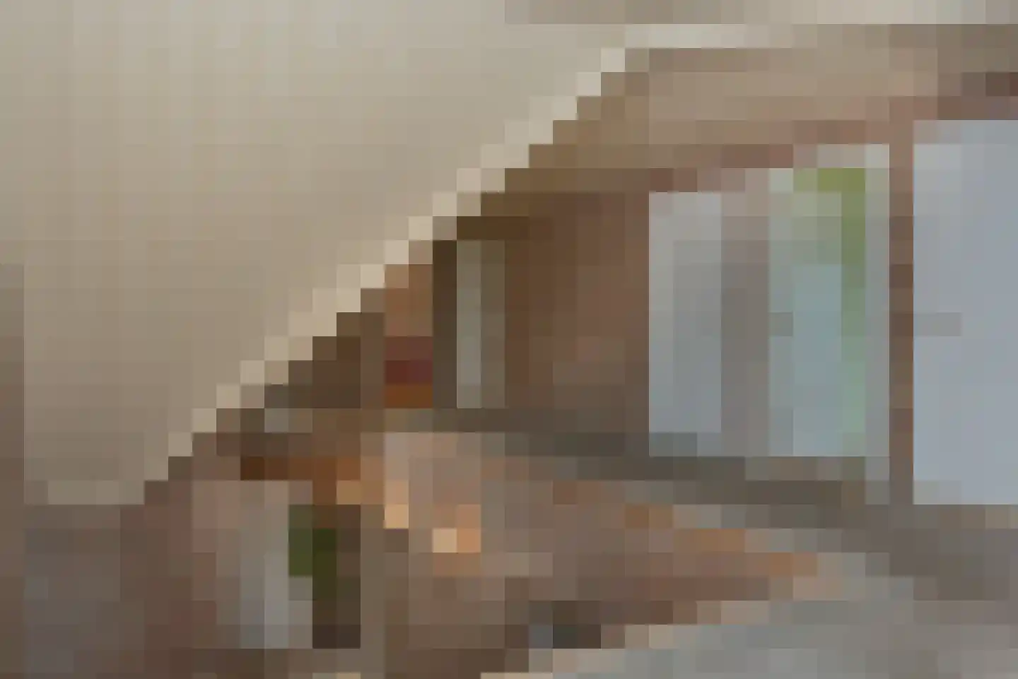 Schiksweg 39 Oosterwolde Gld thumbnail 42
