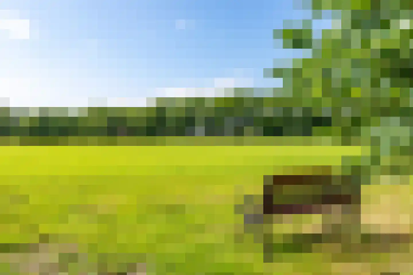 Schiksweg 39 Oosterwolde Gld thumbnail 70