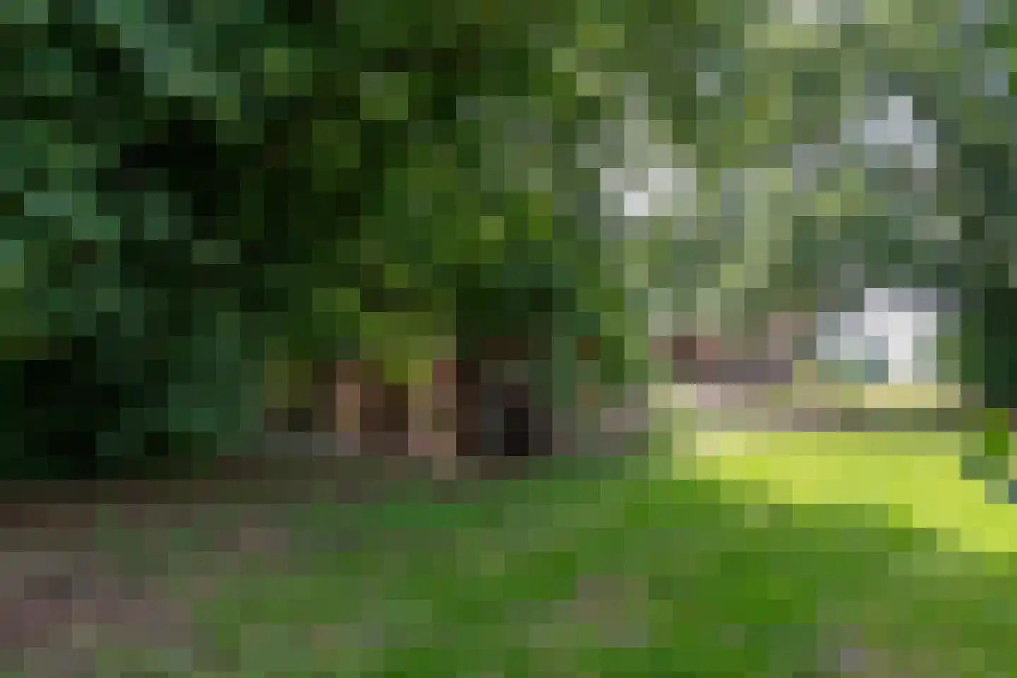 Schiksweg 39 Oosterwolde Gld thumbnail 71