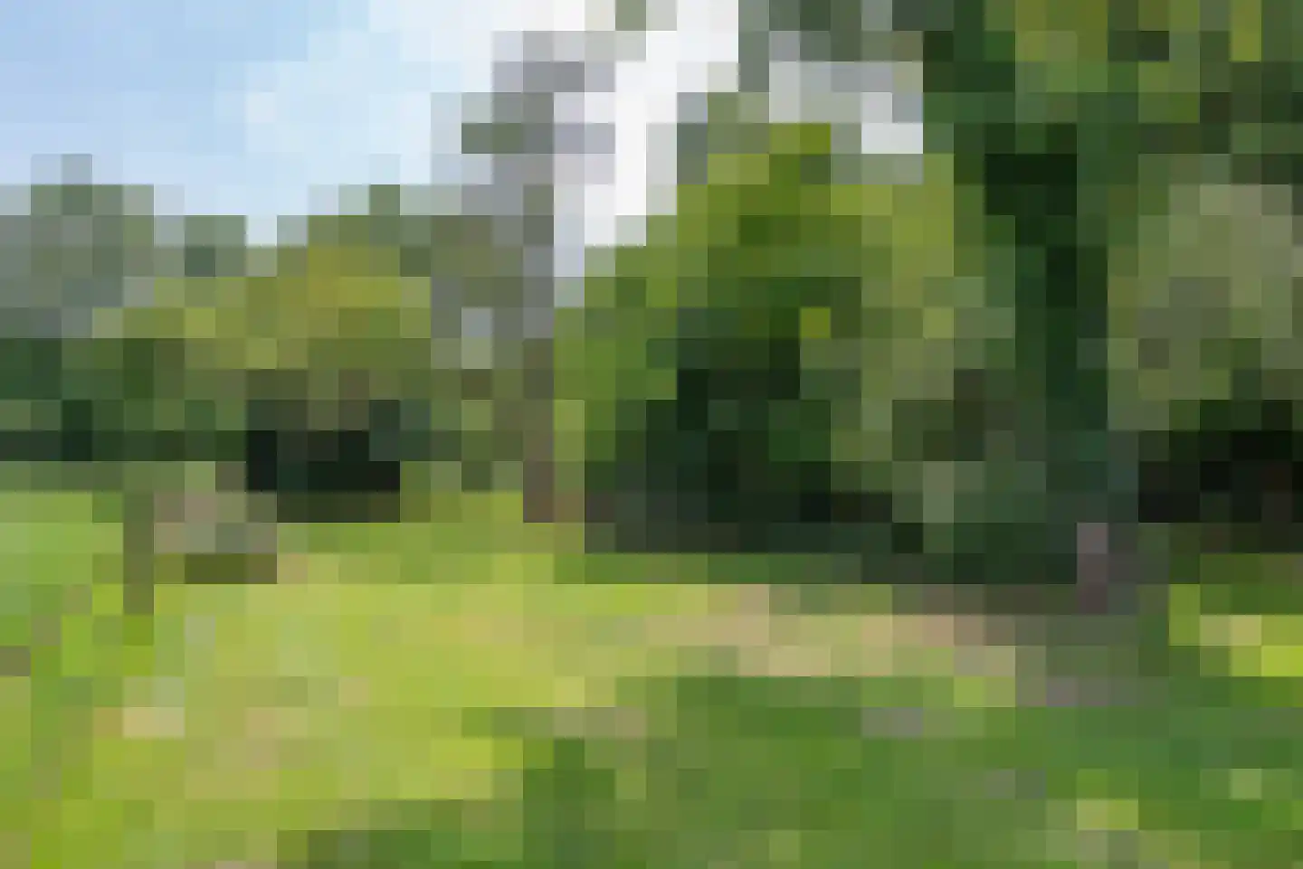 Schiksweg 39 Oosterwolde Gld thumbnail 72