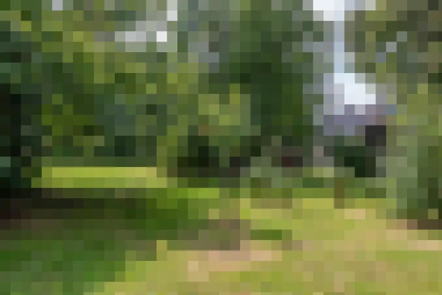Schiksweg 39 Oosterwolde Gld thumbnail 73