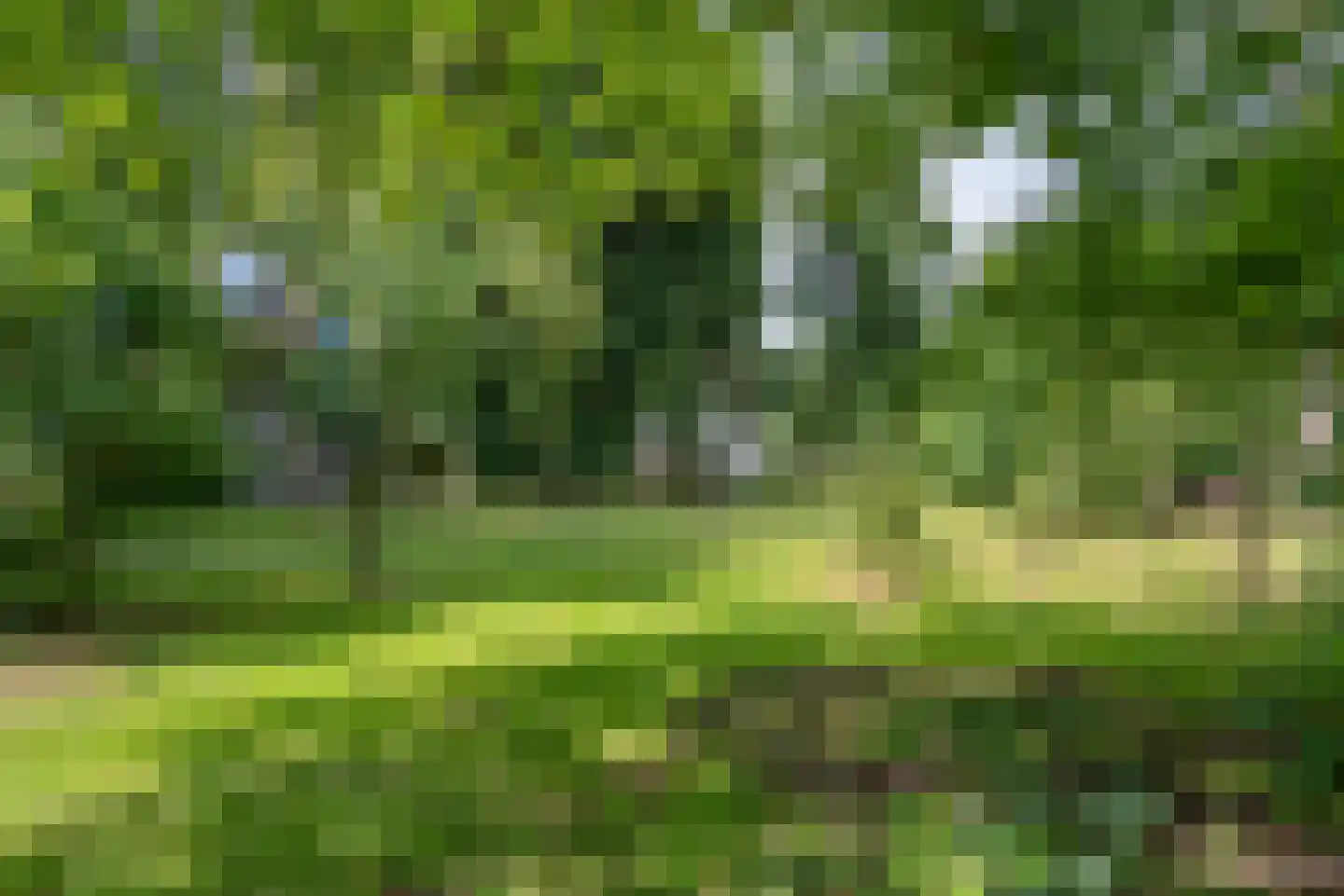 Schiksweg 39 Oosterwolde Gld thumbnail 75