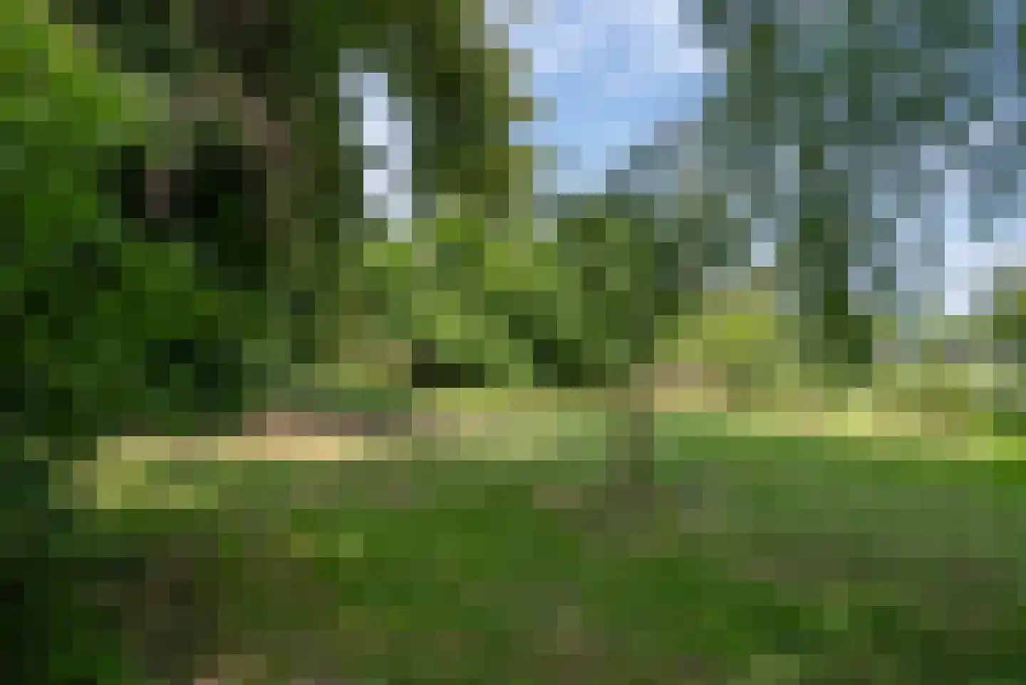 Schiksweg 39 Oosterwolde Gld thumbnail 76