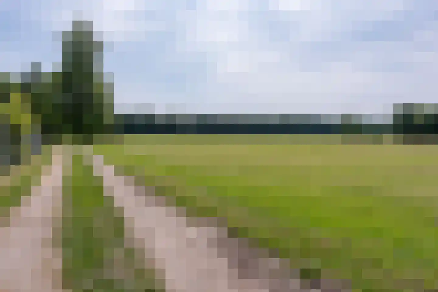Schiksweg 39 Oosterwolde Gld thumbnail 79