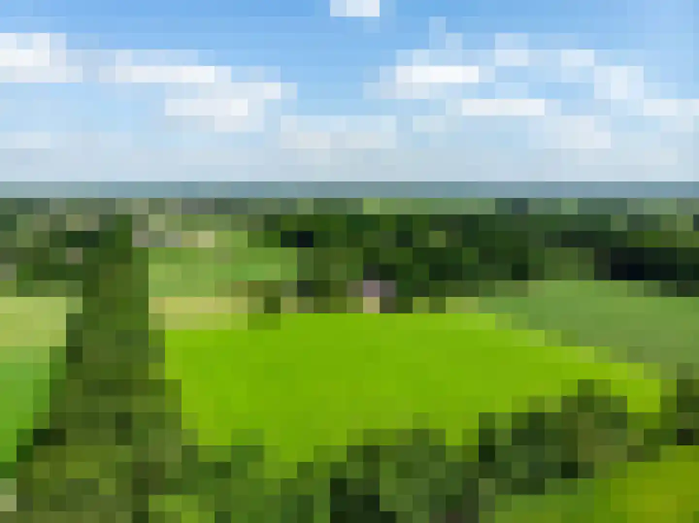 Schiksweg 39 Oosterwolde Gld thumbnail 82