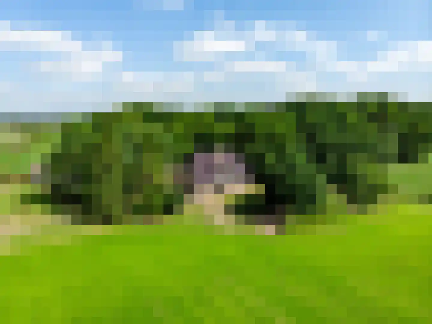 Schiksweg 39 Oosterwolde Gld thumbnail 84