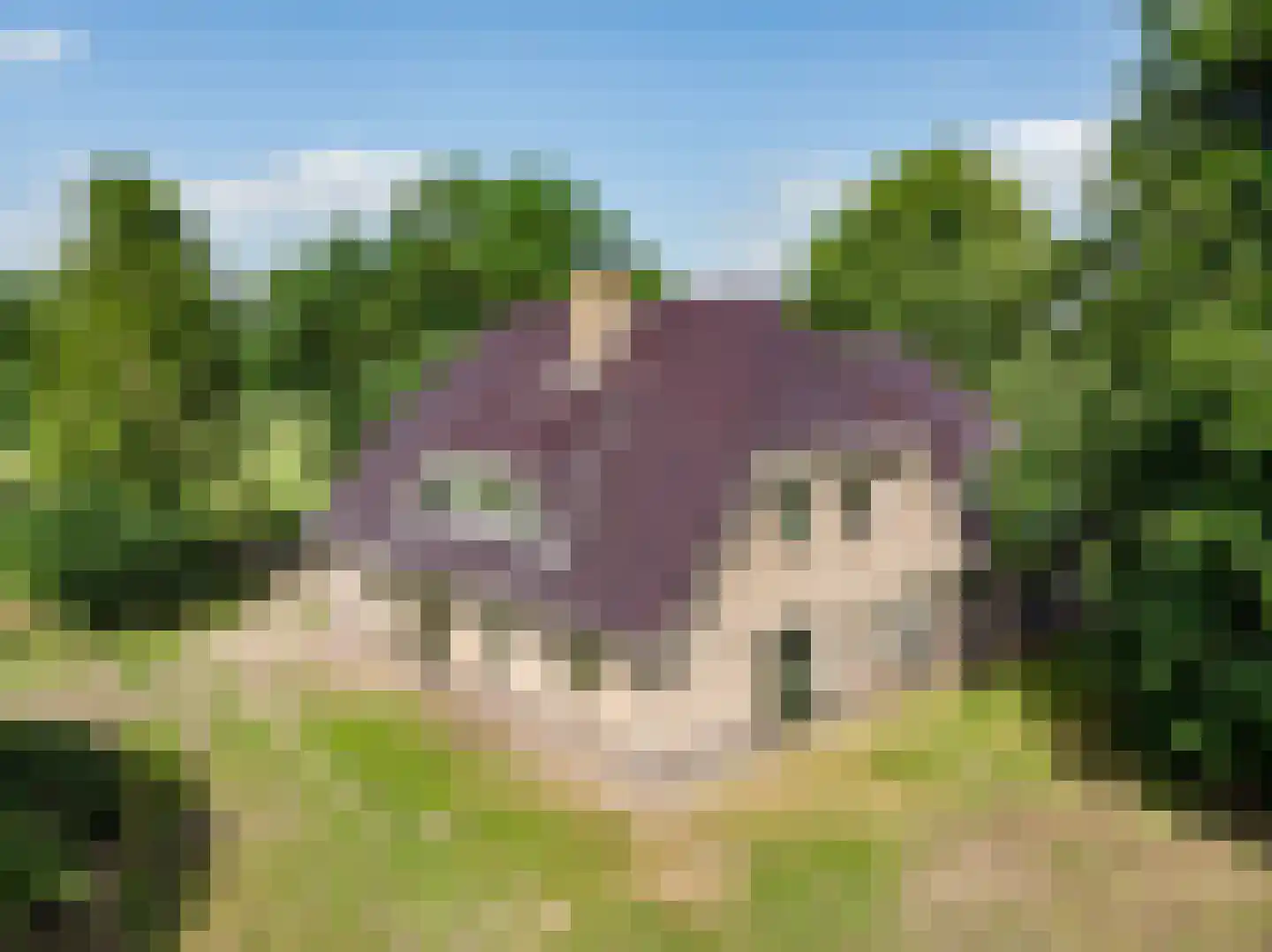 Schiksweg 39 Oosterwolde Gld thumbnail 86