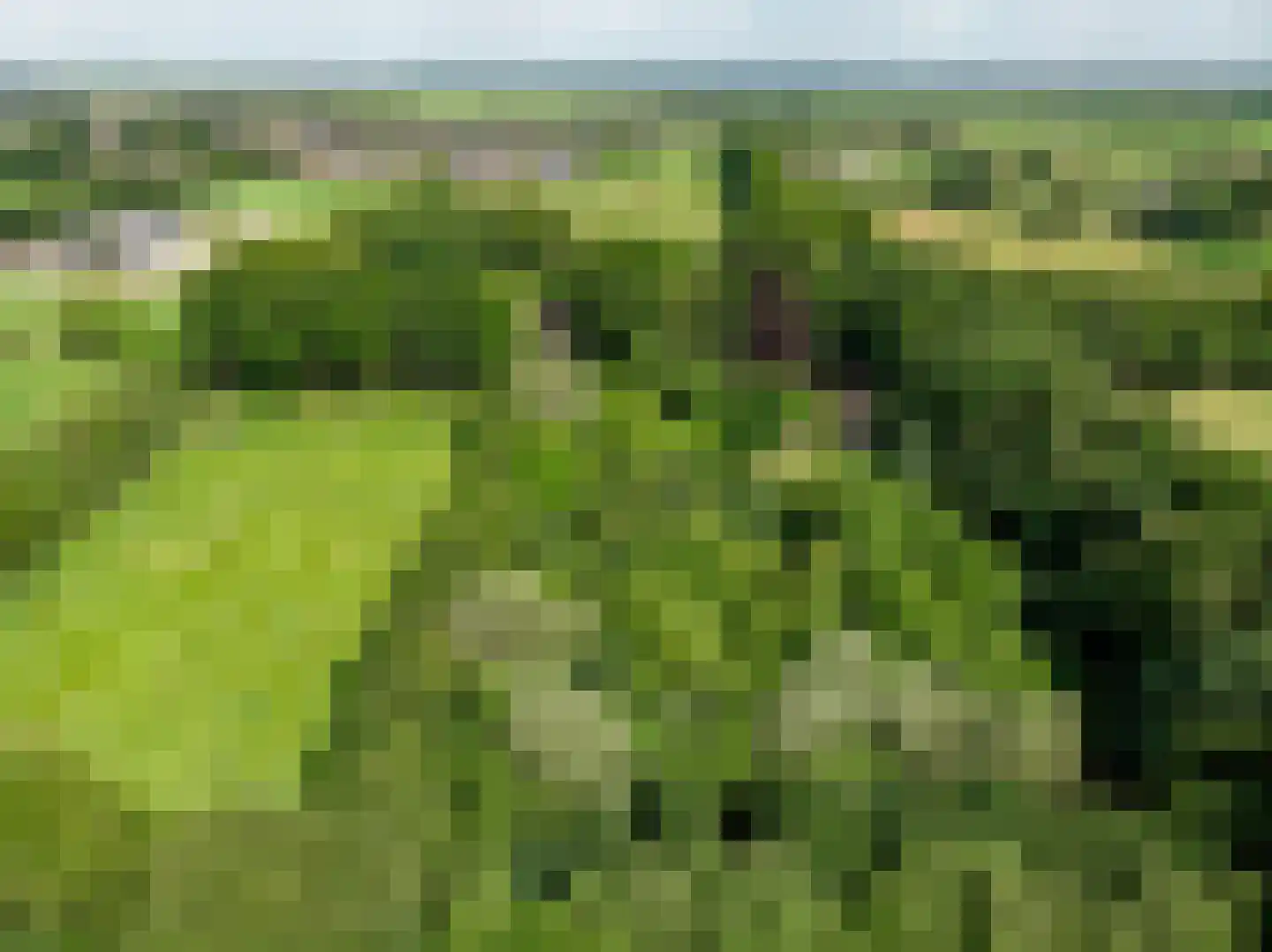 Schiksweg 39 Oosterwolde Gld thumbnail 87