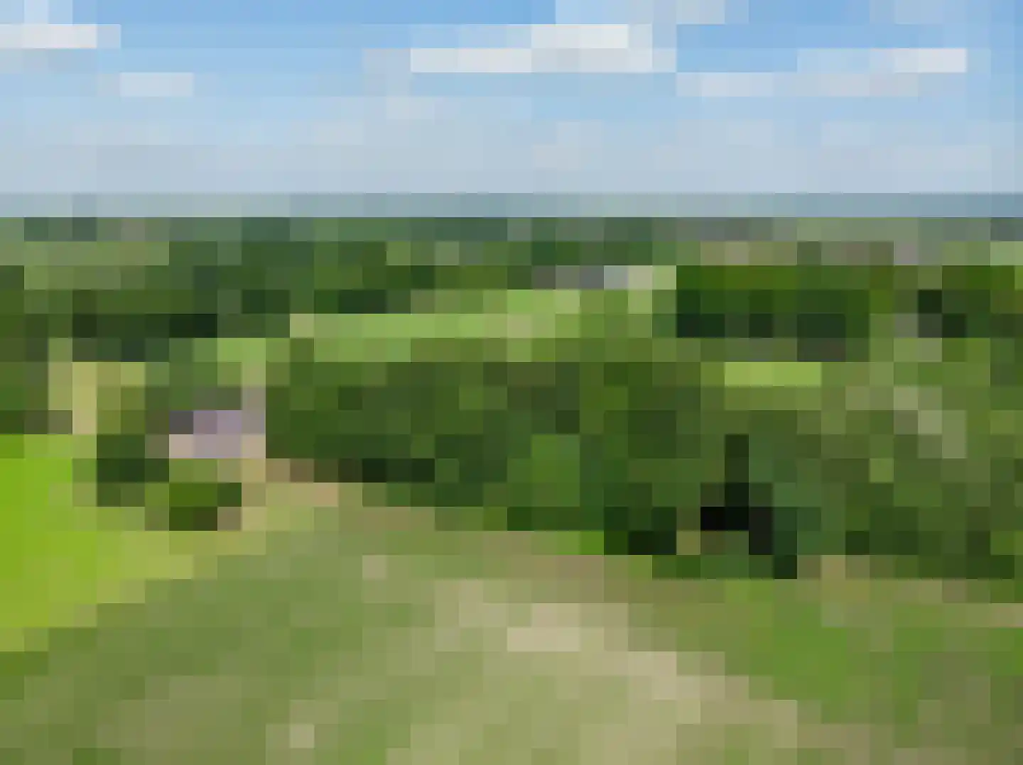 Schiksweg 39 Oosterwolde Gld thumbnail 88