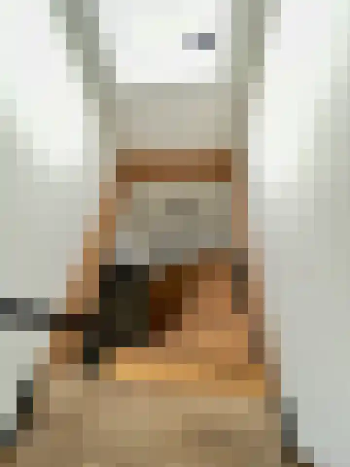 Schilbergerstraat 24 Echt thumbnail 20