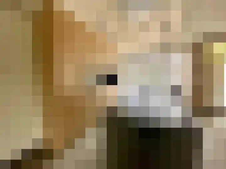 Schilbergerstraat 24 Echt thumbnail 6