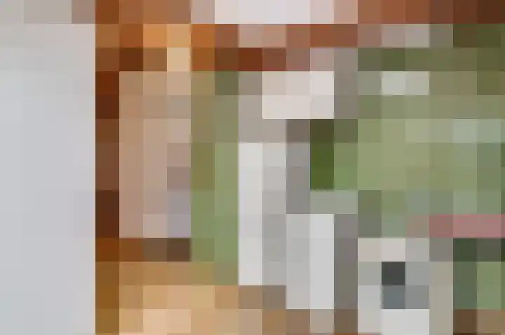 Schilbergsweg 3 A Roermond thumbnail 18