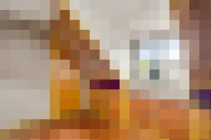 Schilbergsweg 3 A Roermond thumbnail 26