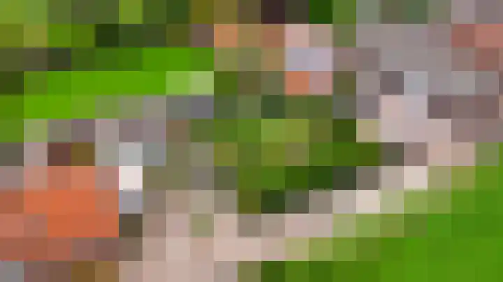 Schilbergsweg 3 A Roermond thumbnail 38