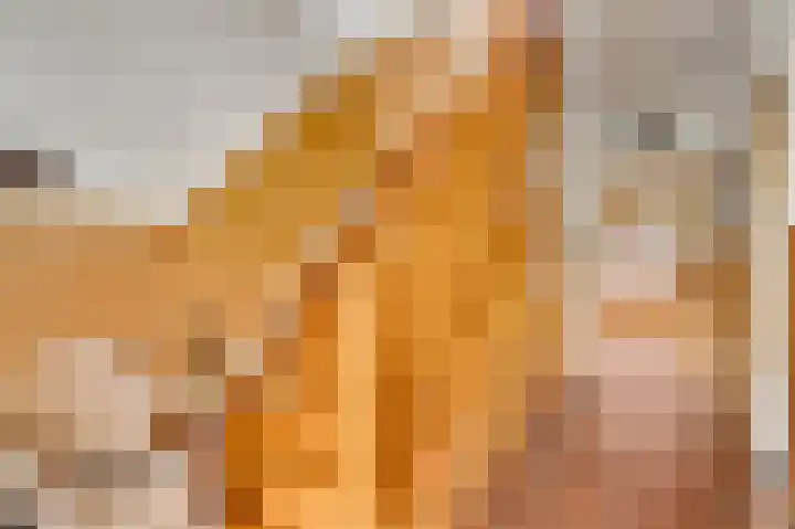 Schilbergsweg 3 A Roermond thumbnail 6