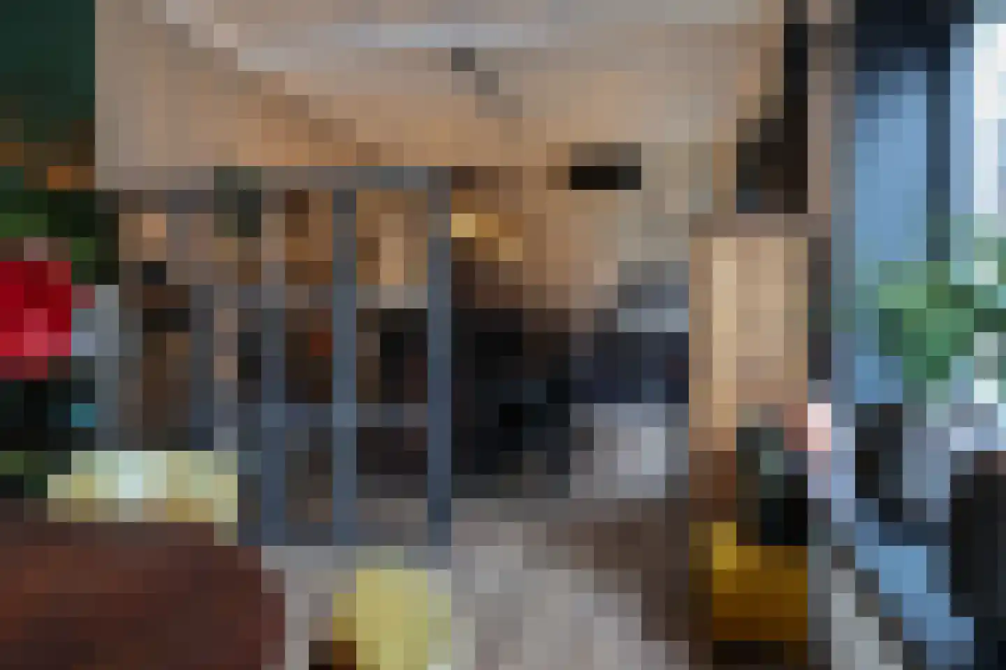 Schilcampen 52 Franeker thumbnail 12