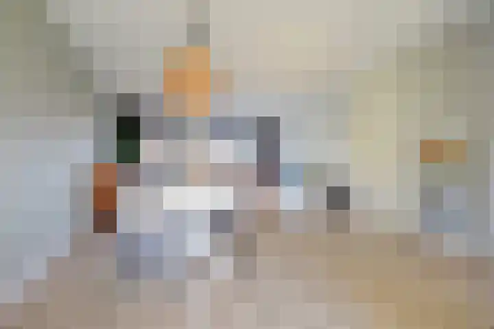Schilcampen 52 Franeker thumbnail 13
