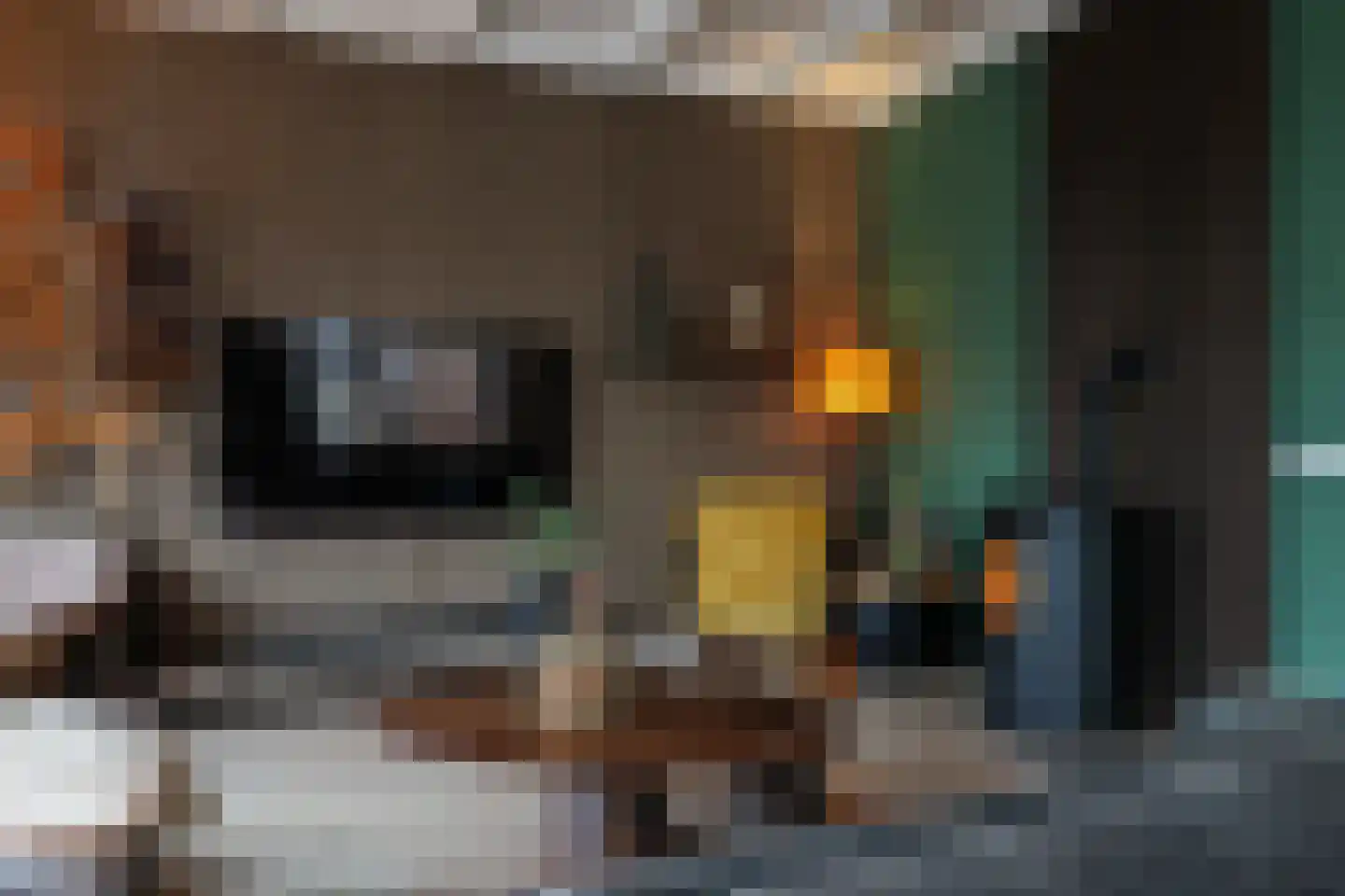 Schilcampen 52 Franeker thumbnail 22