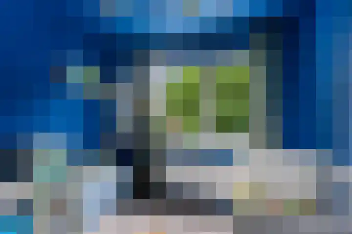 Schilcampen 52 Franeker thumbnail 31