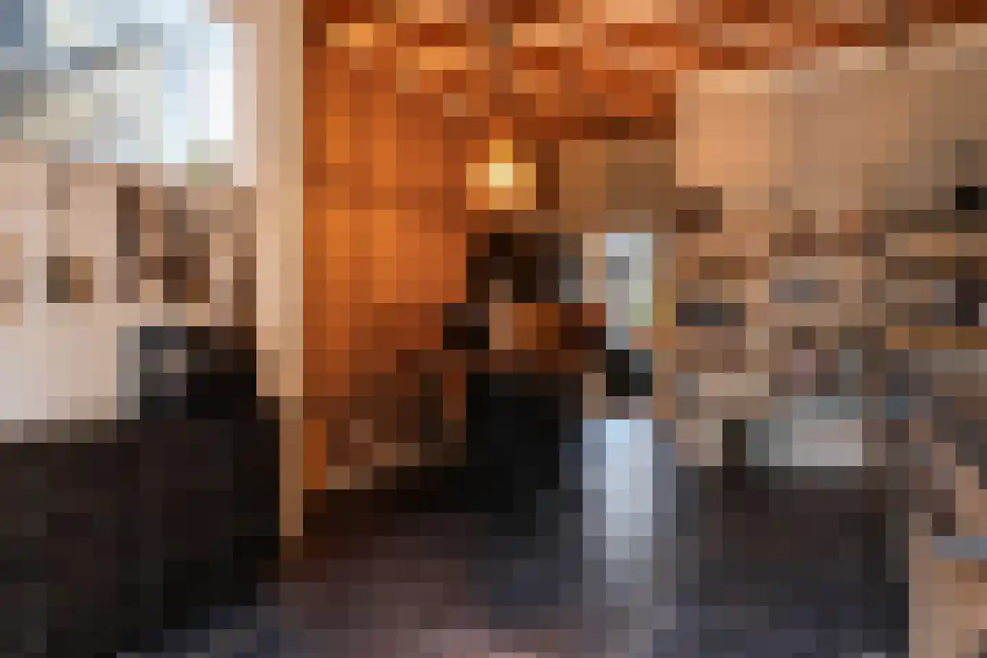 Schilcampen 52 Franeker thumbnail 32