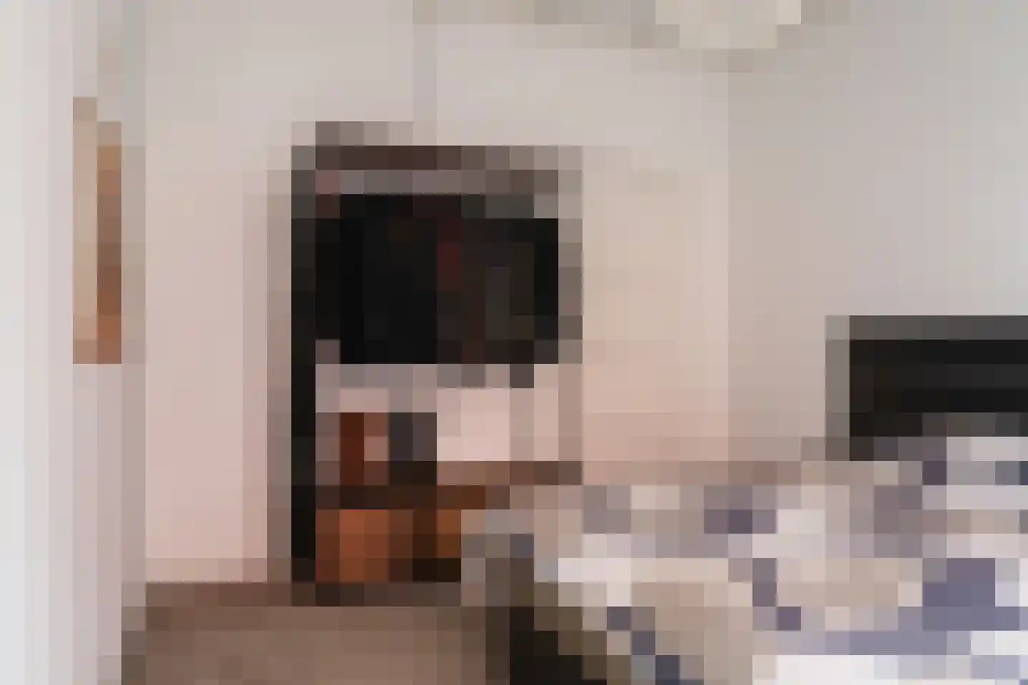 Schilcampen 52 Franeker thumbnail 39