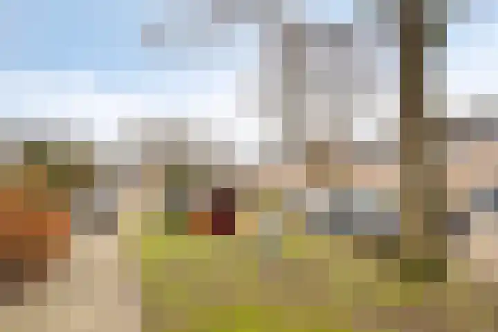 Schilcampen 52 Franeker thumbnail 53