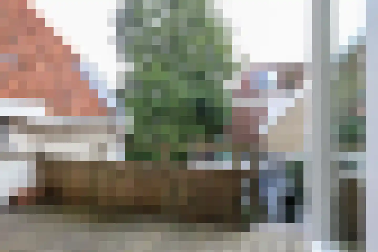 Schilcampen 52 Franeker thumbnail 57