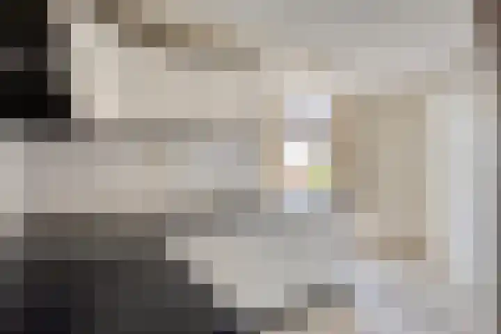 Schild 26 Gemert thumbnail 16