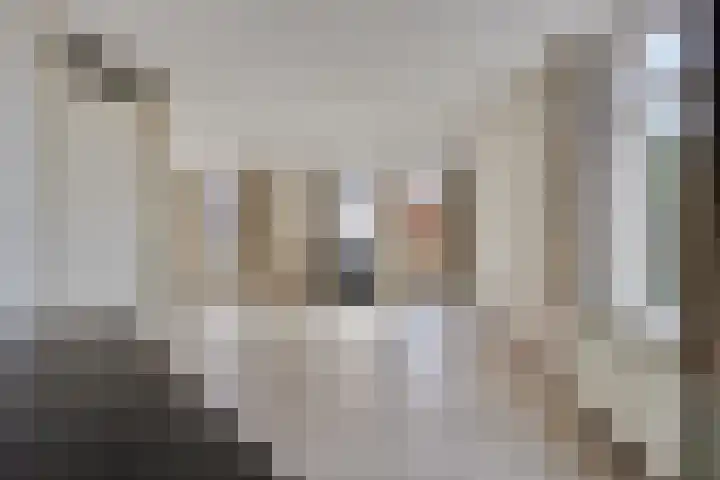 Schild 26 Gemert thumbnail 17