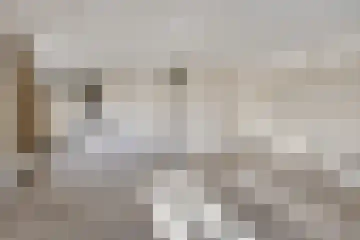 Schild 26 Gemert thumbnail 18