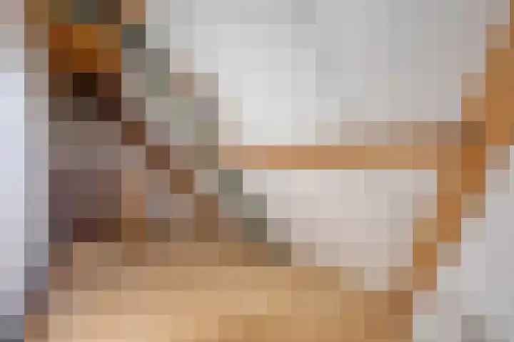 Schild 26 Gemert thumbnail 36