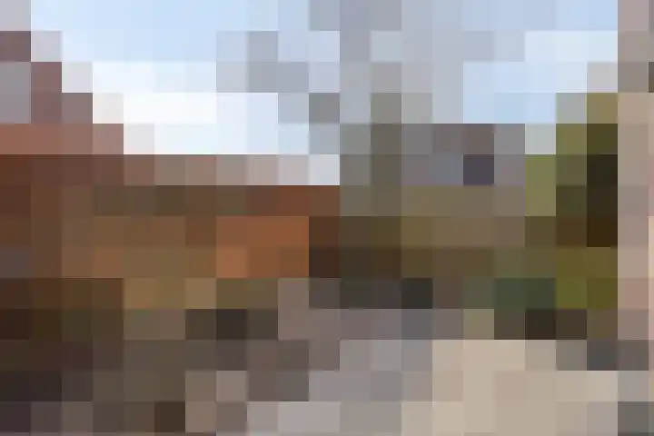 Schild 26 Gemert thumbnail 40