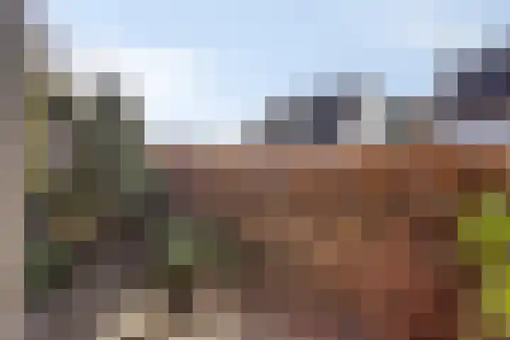 Schild 26 Gemert thumbnail 41