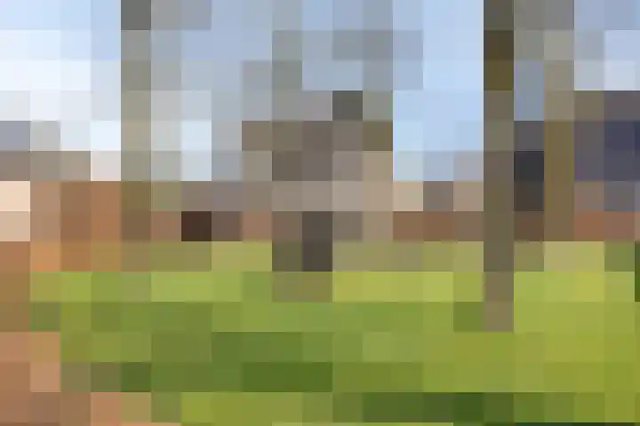 Schild 26 Gemert thumbnail 43