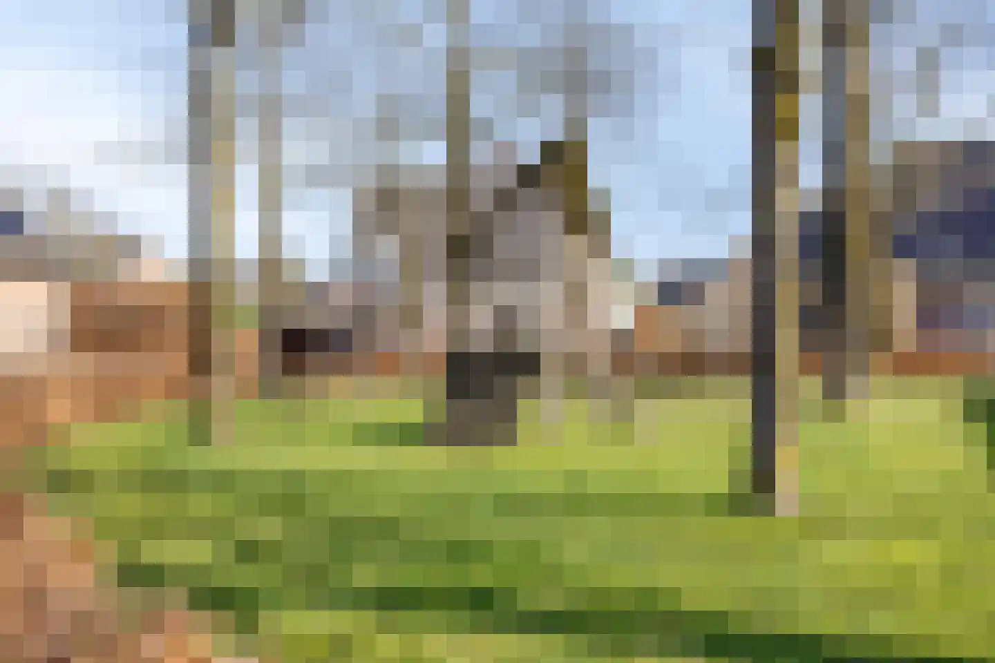 Schild 26 Gemert thumbnail 43