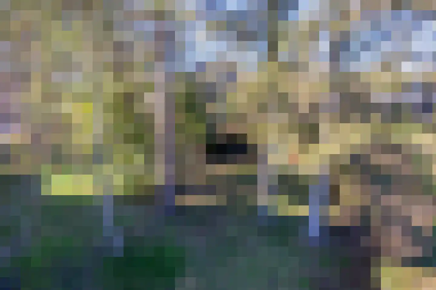 Schilderend 101 X Den Burg thumbnail 10