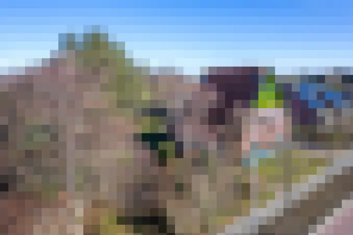 Schilderend 101 X Den Burg thumbnail 11