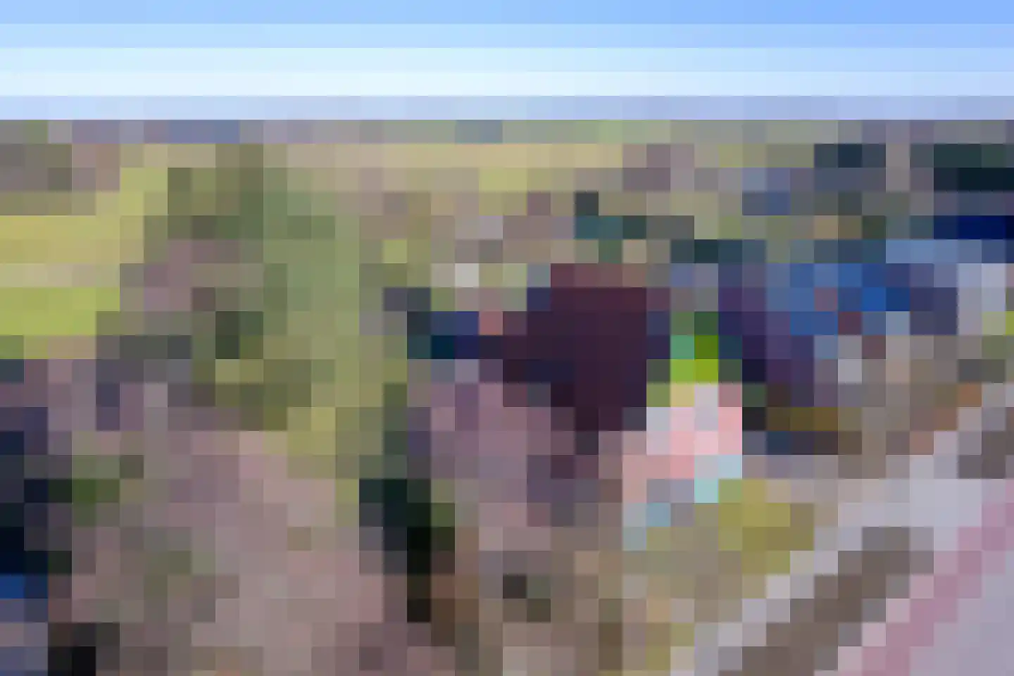Schilderend 101 X Den Burg thumbnail 12