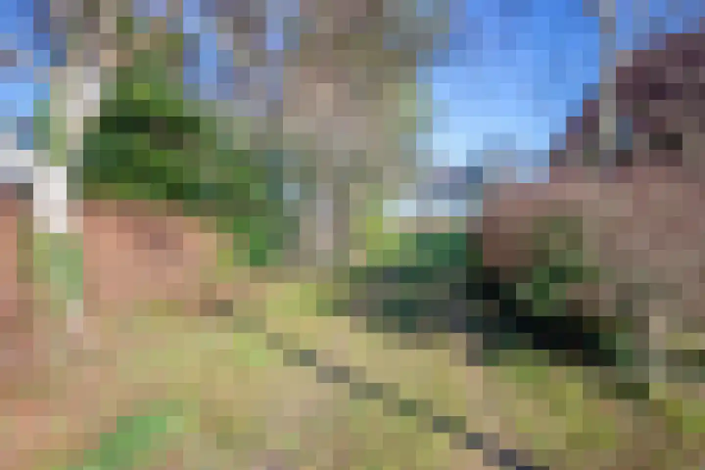 Schilderend 101 X Den Burg thumbnail 4