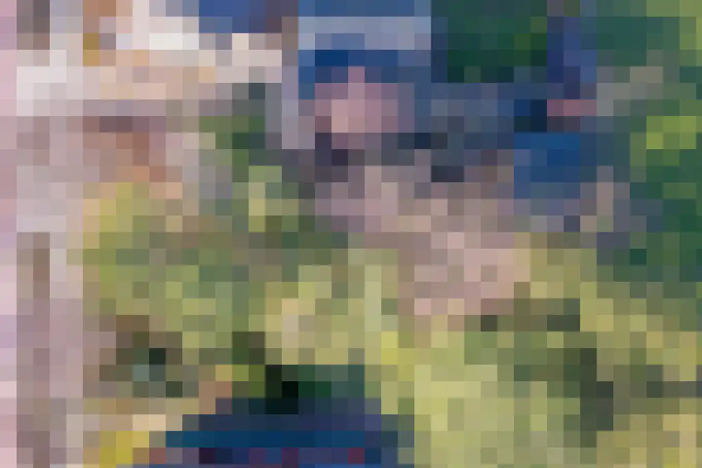 Schilderend 101 X Den Burg thumbnail 6