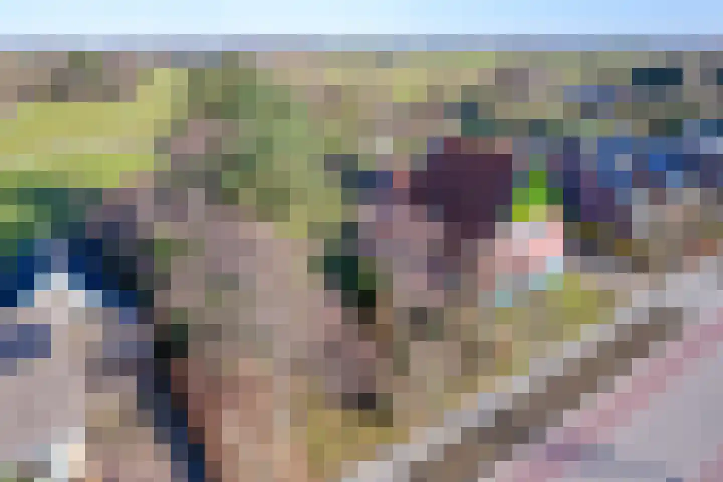 Schilderend 101 X Den Burg thumbnail 7