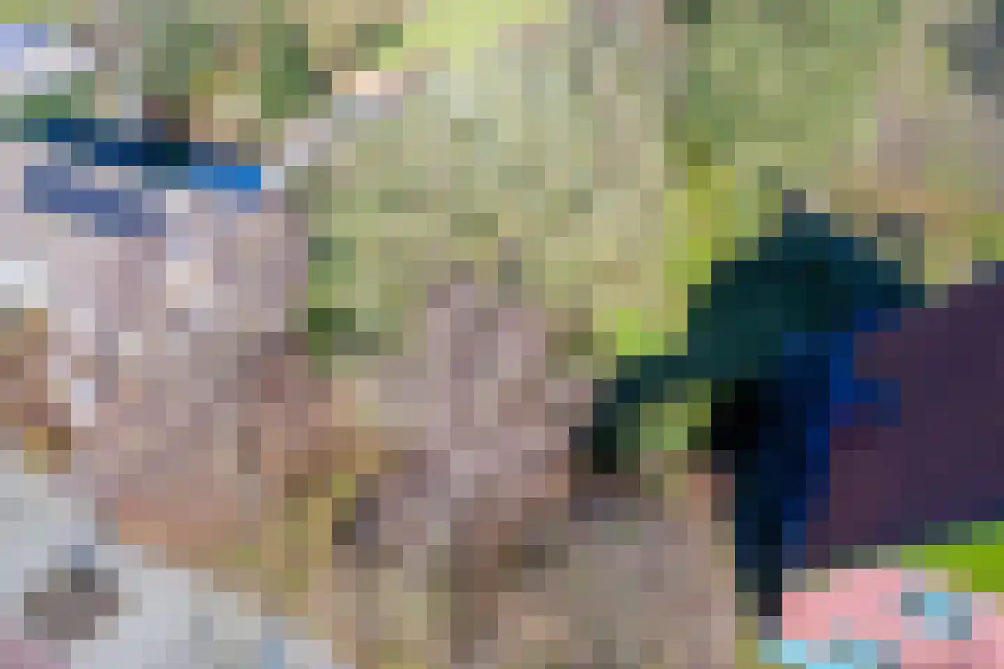 Schilderend 101 X Den Burg thumbnail 8
