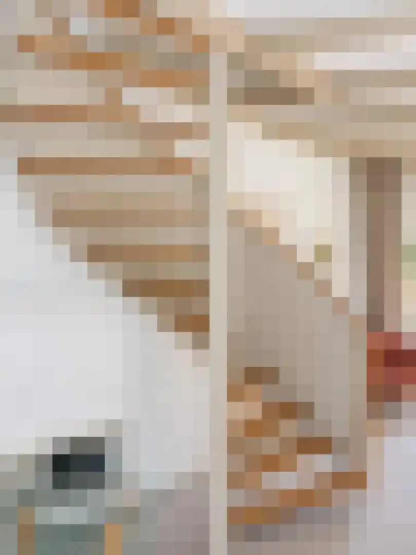 Schilderend 25 Den Burg thumbnail 13