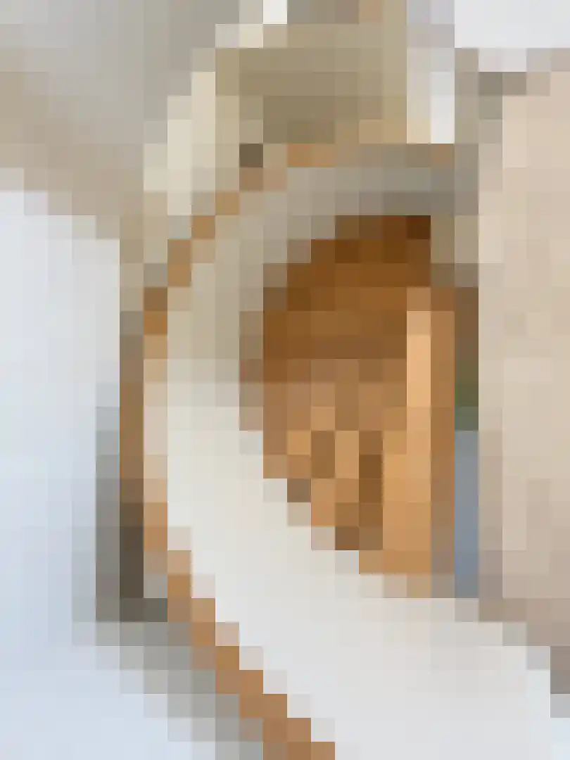 Schilderend 25 Den Burg thumbnail 14