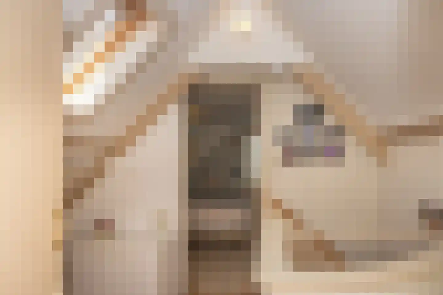 Schilderend 25 Den Burg thumbnail 15