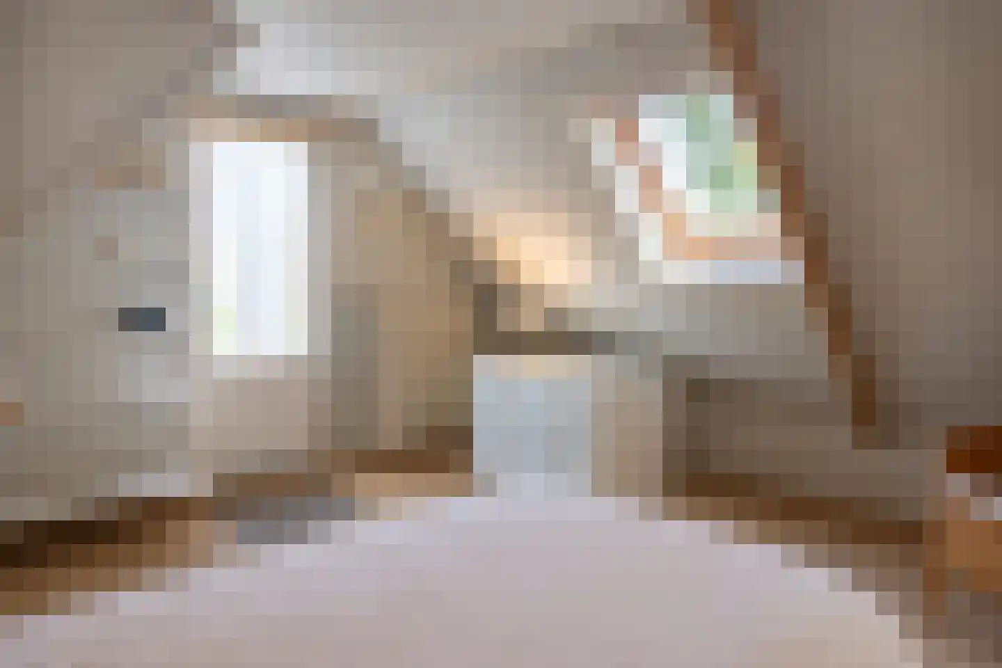 Schilderend 25 Den Burg thumbnail 17